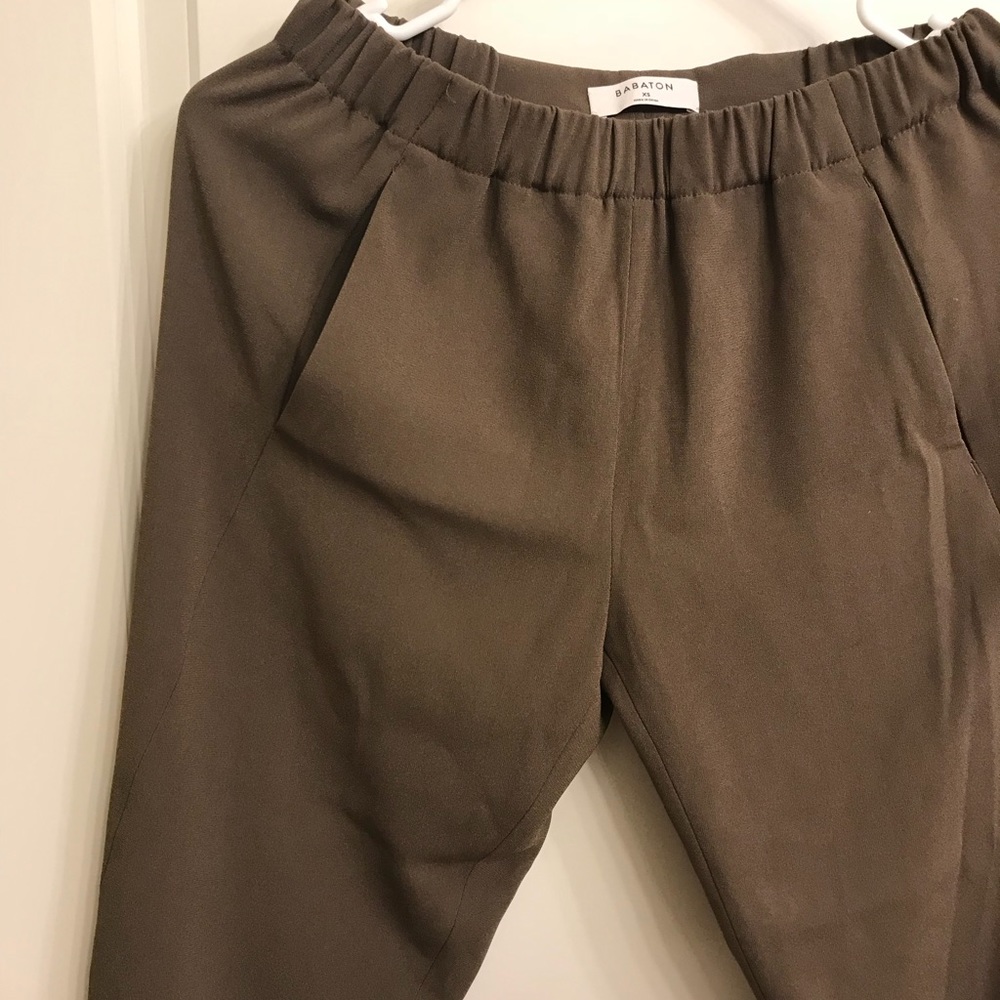 Aritzia dexter pants